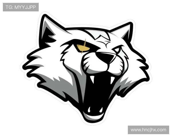 CSGO赛事节奏排行榜揭晓LNG战队荣登第八位引发热议 CSGO赛事节奏排行榜揭晓LNG战队荣登第八位引发热议