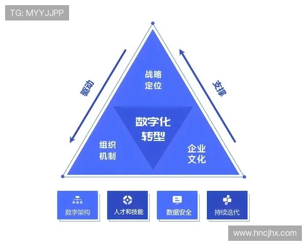 武汉排球队转型之路：探索新战术与团队协作的成功之道