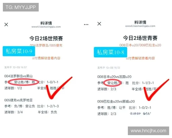 加的夫城与布赖顿的激烈对决谁能在英超赛场上笑到最后